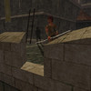 Capture de Darkfall Online