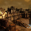Capture de Darkfall Online