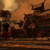 Capture de Darkfall Online