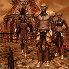 Capture de Darkfall Online