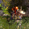 Capture de Darkfall Online