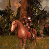 Capture de Darkfall Online