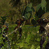 Capture de Darkfall Online