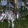 Capture de Darkfall Online