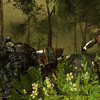 Capture de Darkfall Online