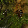 Capture de Darkfall Online