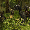 Capture de Darkfall Online
