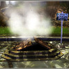 Capture de Darkfall Online