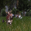 Capture de Darkfall Online