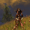 Capture de Darkfall Online