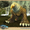 Capture de Runes of Magic
