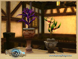 Les portes de l'Acropole : syst�me de plantation
