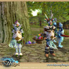 Capture de Runes of Magic