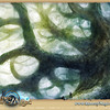 Chapitre III
