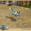 Capture de Runes of Magic