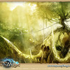 Capture de Runes of Magic