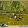 Capture de Runes of Magic