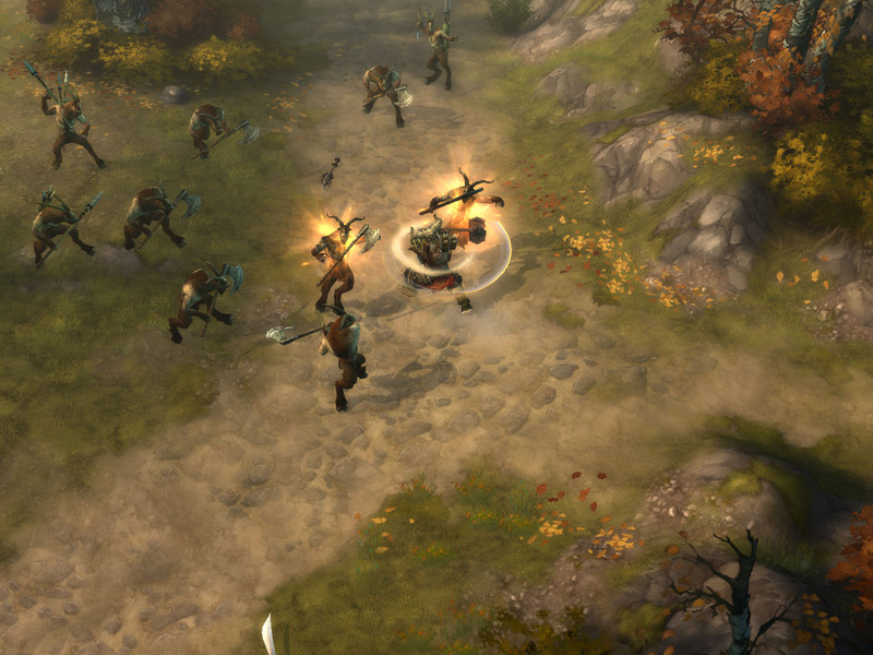 Premi�re s�rie de captures de Diablo 3
