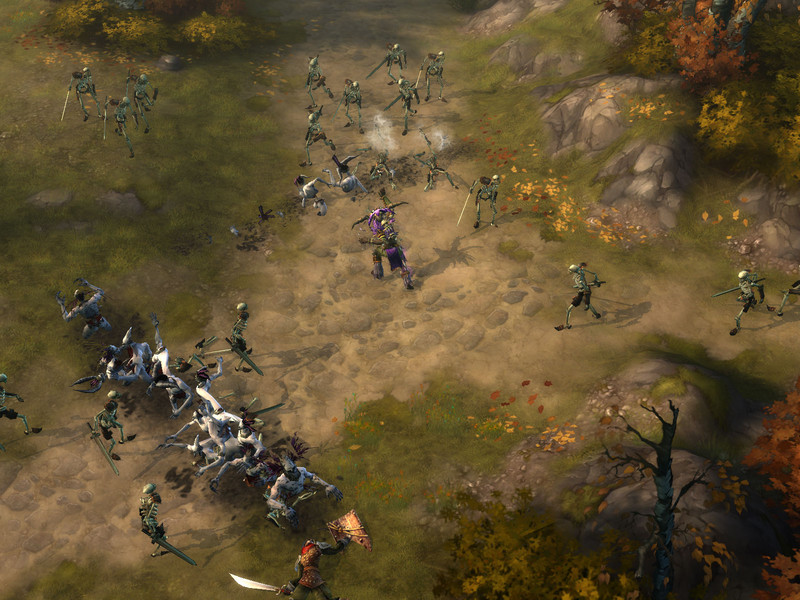 Premi�re s�rie de captures de Diablo 3