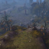 Premi�re s�rie de captures de Diablo 3