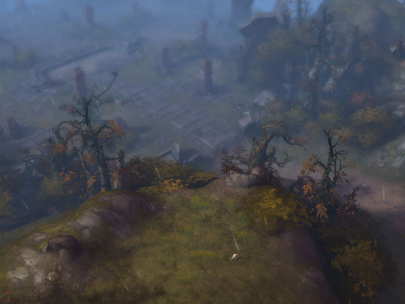 Premi�re s�rie de captures de Diablo 3