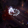 Capture de Diablo III