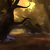 Capture de Star Wars The Old Republic