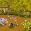 Capture de Dragonica
