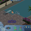 Capture de The Sims Online