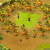 Capture de Dofus