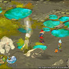 Capture de Dofus