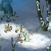 Capture de Dofus