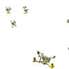 Capture de Dofus