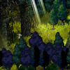 Capture de Dofus