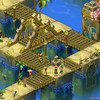 Capture de Dofus