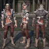 Capture de Tera: The Exiled Realm of Arborea