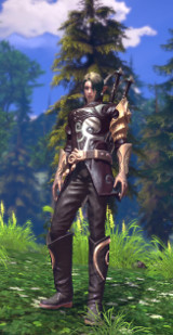 elfe en armure 01 elfe en armure 01
