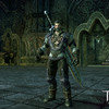 Capture de Tera: The Exiled Realm of Arborea