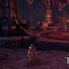 Capture de Tera: The Exiled Realm of Arborea