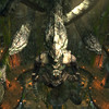 Capture de Tera: The Exiled Realm of Arborea