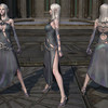 Capture de Tera: The Exiled Realm of Arborea