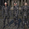 Capture de Tera: The Exiled Realm of Arborea