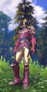 elfe en armure 03 elfe en armure 03