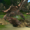 Capture de Tera: The Exiled Realm of Arborea