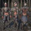 Capture de Tera: The Exiled Realm of Arborea