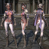 Capture de Tera: The Exiled Realm of Arborea