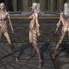 Capture de Tera: The Exiled Realm of Arborea
