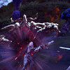 Capture de Tera: The Exiled Realm of Arborea