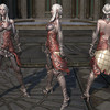 Capture de Tera: The Exiled Realm of Arborea