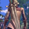 Capture de Tera: The Exiled Realm of Arborea